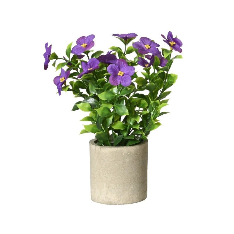 Pottablóm Oleander