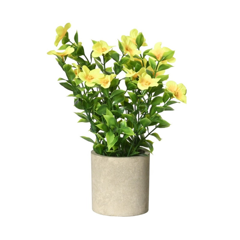Pottablóm Oleander