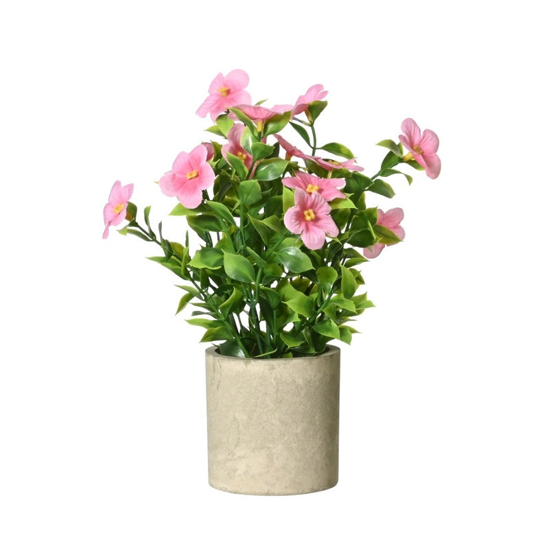 Pottablóm Oleander