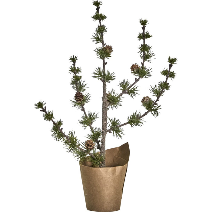 Jólatré Stey 2 stærðir