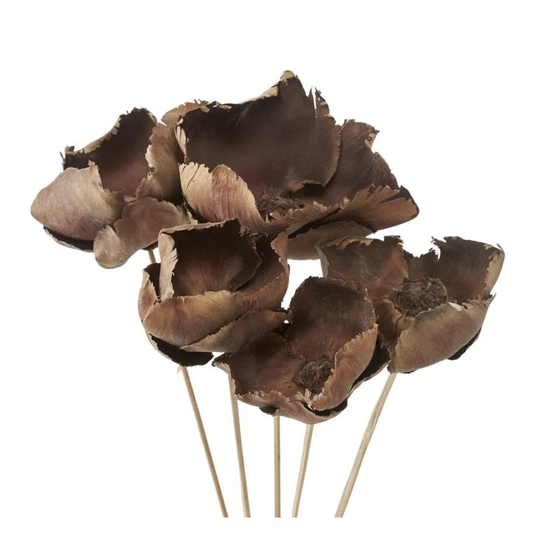 Gerviblóm Flore Palm 5 stk