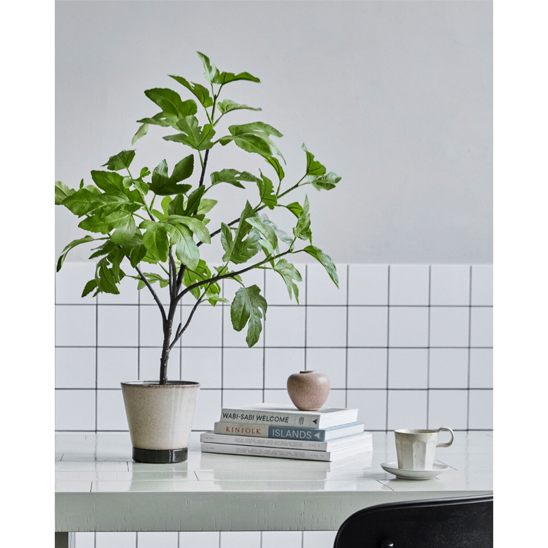 Gerviblóm Fíkjutré 81cm
