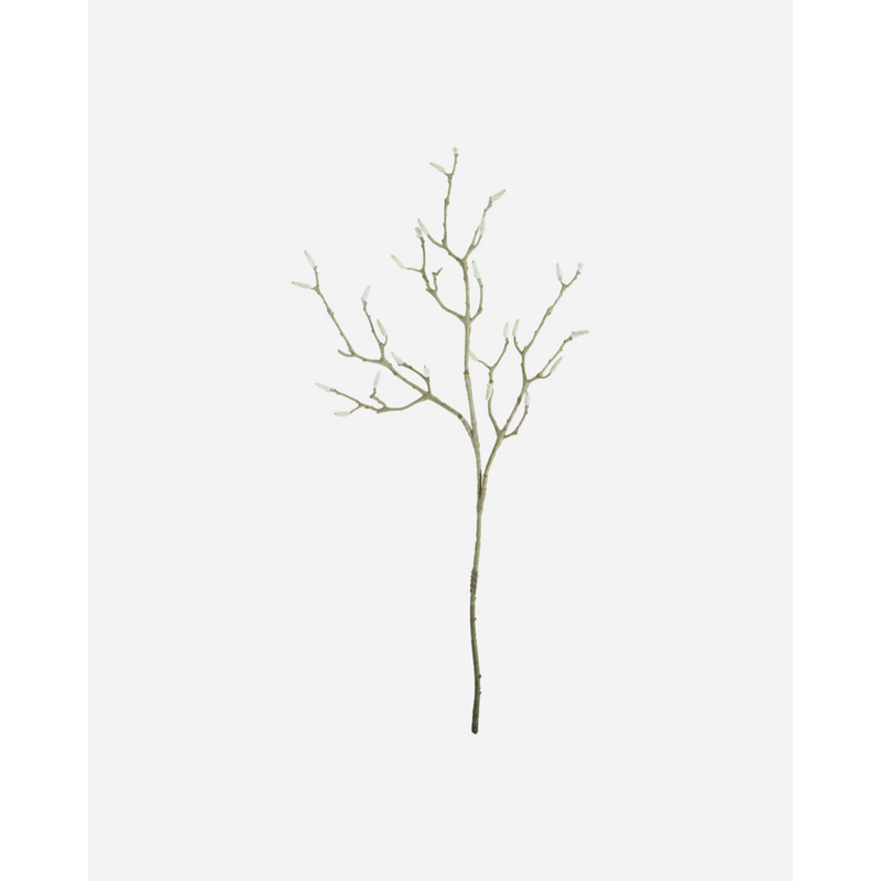 Gerviblóm Magnolia