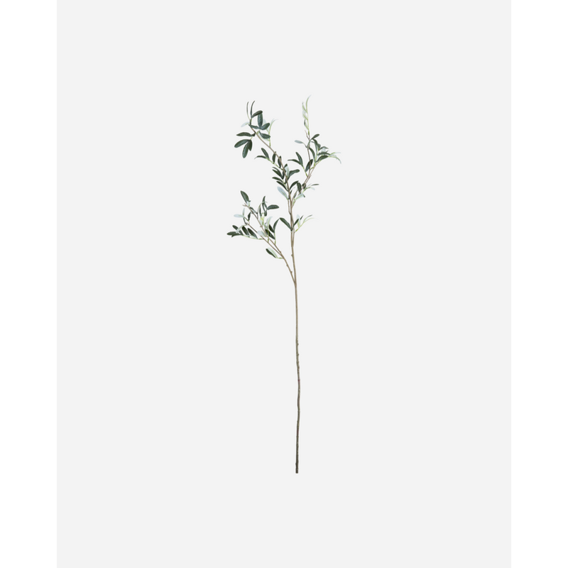Gervigrein Olive