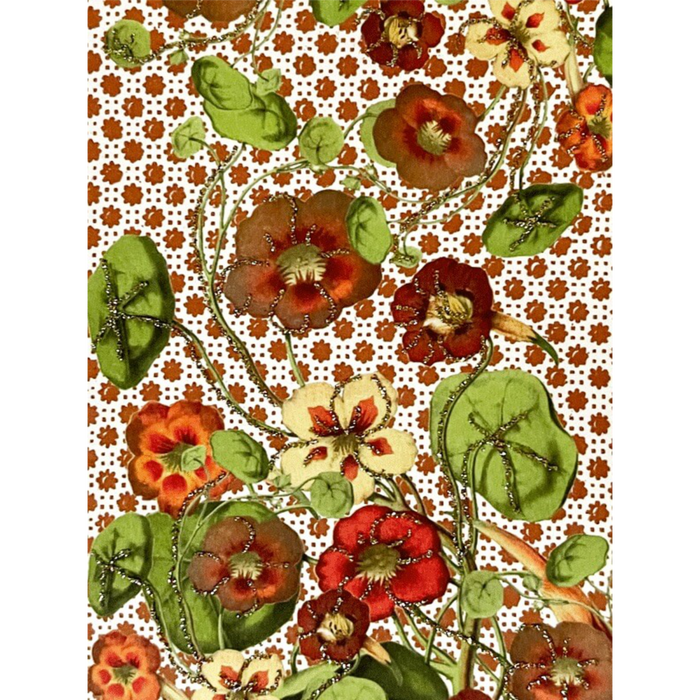 Kort Tropaeolum majus