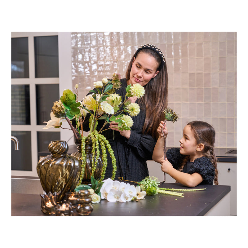Gervigrein Protea
