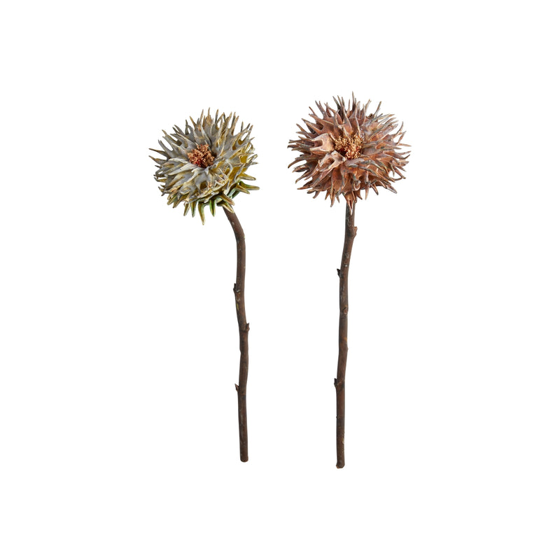 Gervigrein Protea
