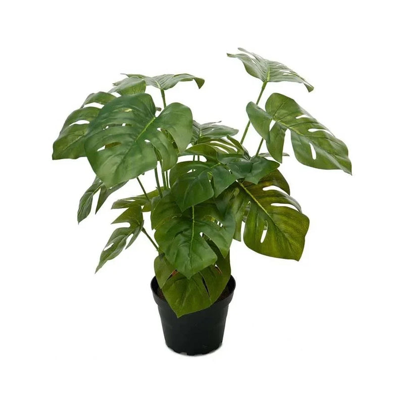 Gerviblóm monstera 30cm