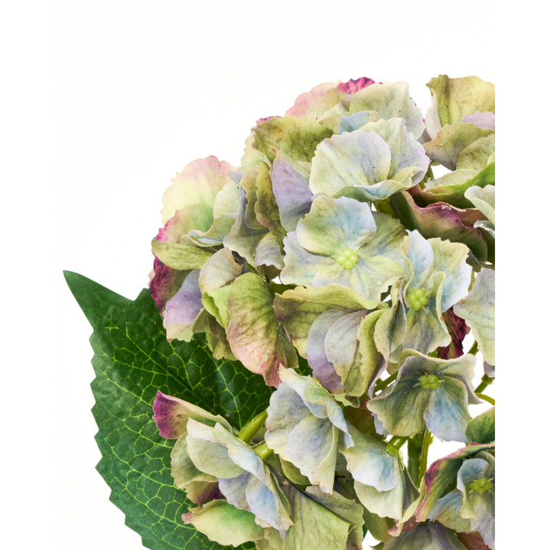 Gerviblóm Hydrangea græn/blá