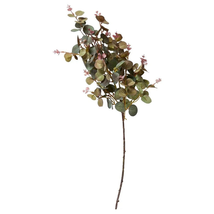 Gerviblóm Eucalyptus 70cm