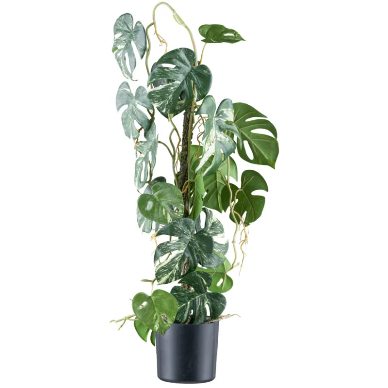 Gerviblóm Mostera 66cm