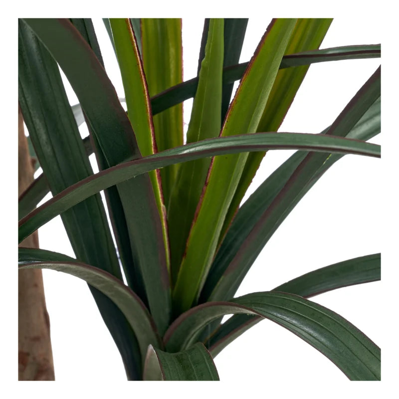 Gerviplanta 110cm
