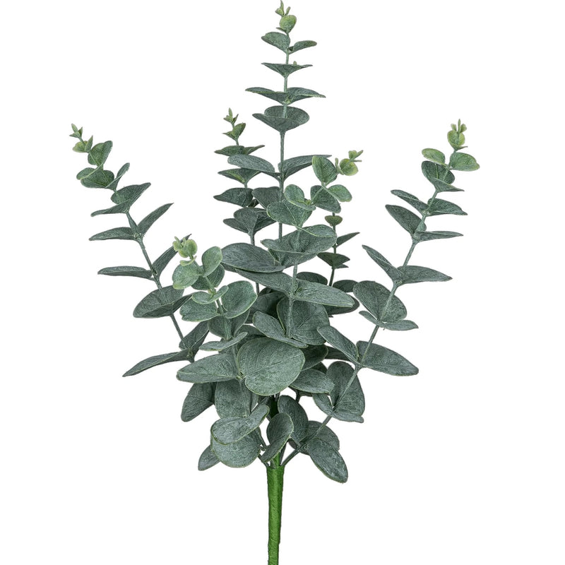 Gerviblóm Eucalyptus burkni