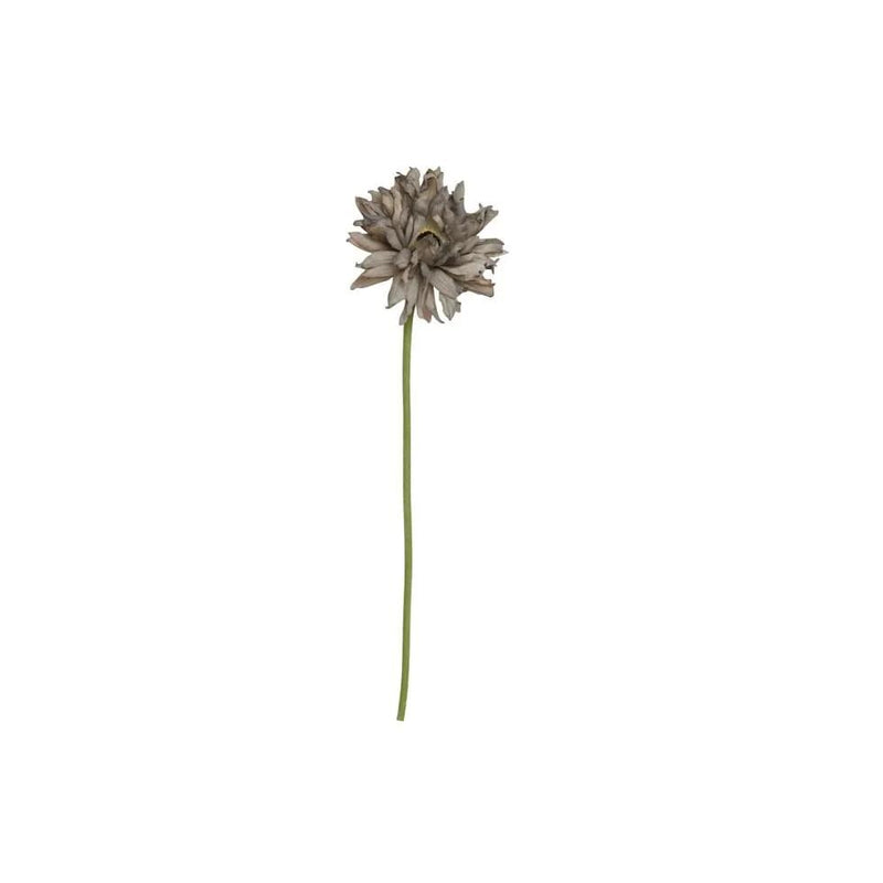 Gerviblóm dusty 40cm