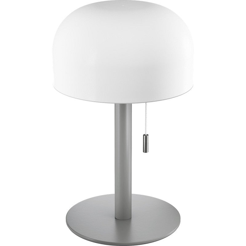 Led lampi 25cm