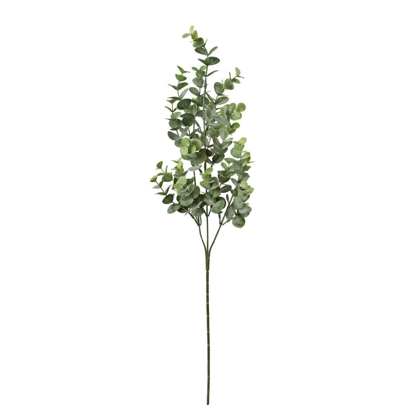 Gervigrein Eucalyptus