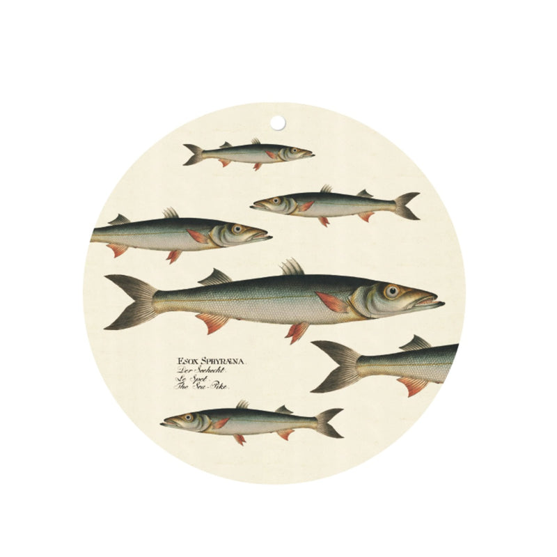 Veggplatti 2 tegundir