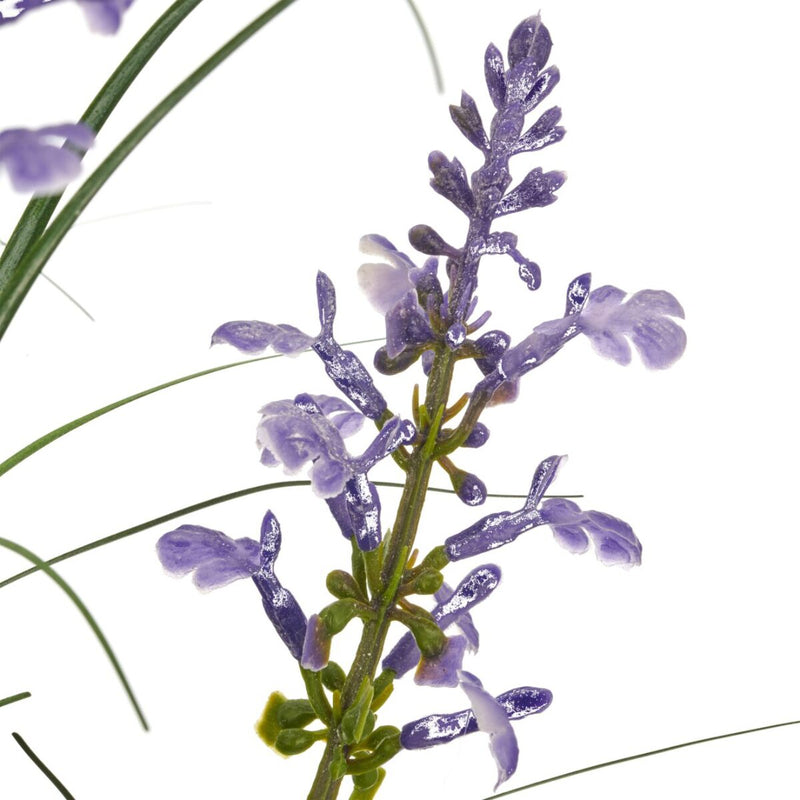 Gerviblóm Salvia & lavender