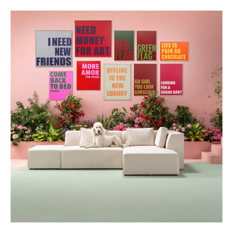 Mynd Sugar baby 50x70cm