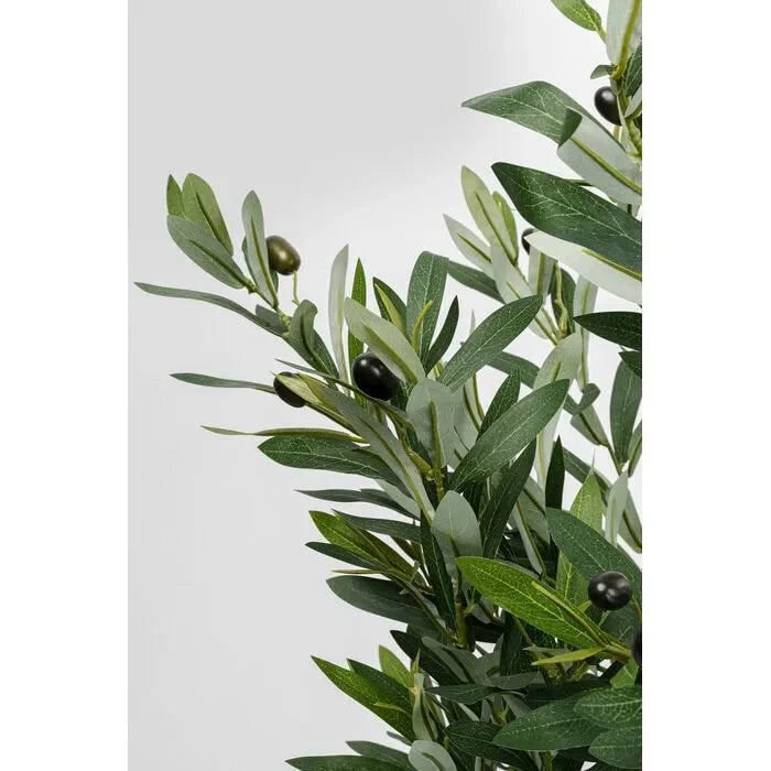 Ólífutré Olive 150cm