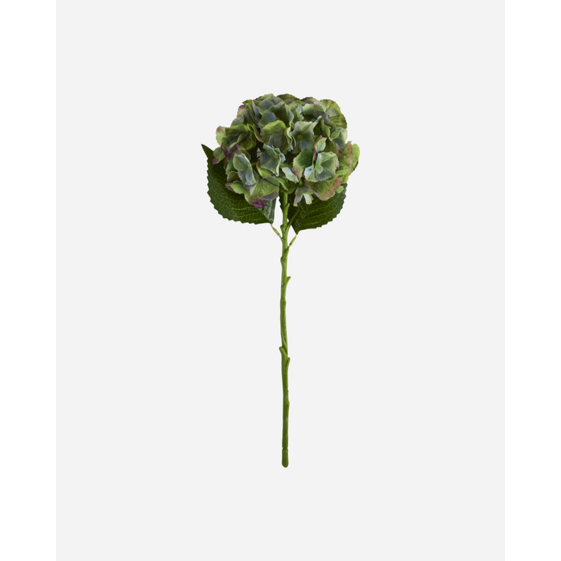 Gerviblóm Hydrangea græn/blá
