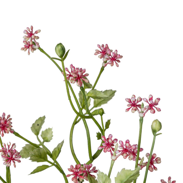 Gerviblóm pumila 2 litir