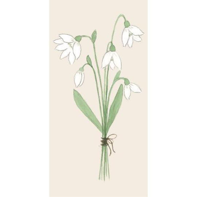 Servíettur Snowdrops