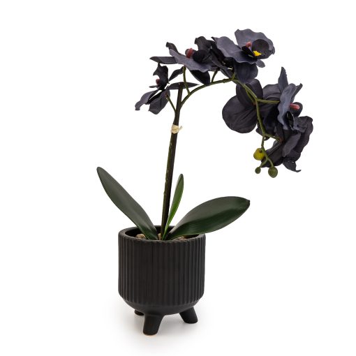 Orkidea í Potti 42x22 cm
