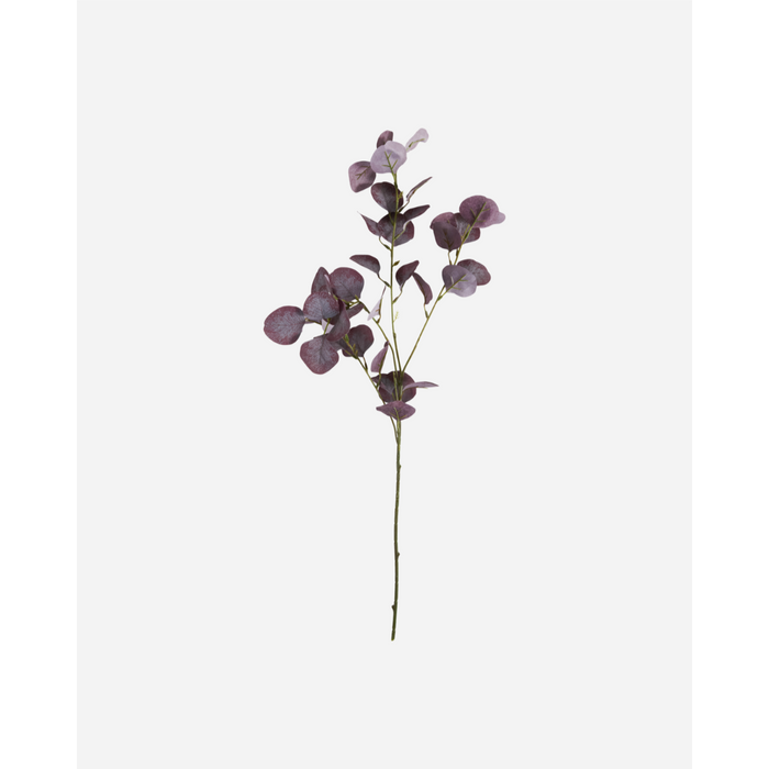 Gerviblóm Eucalyptus burgundy