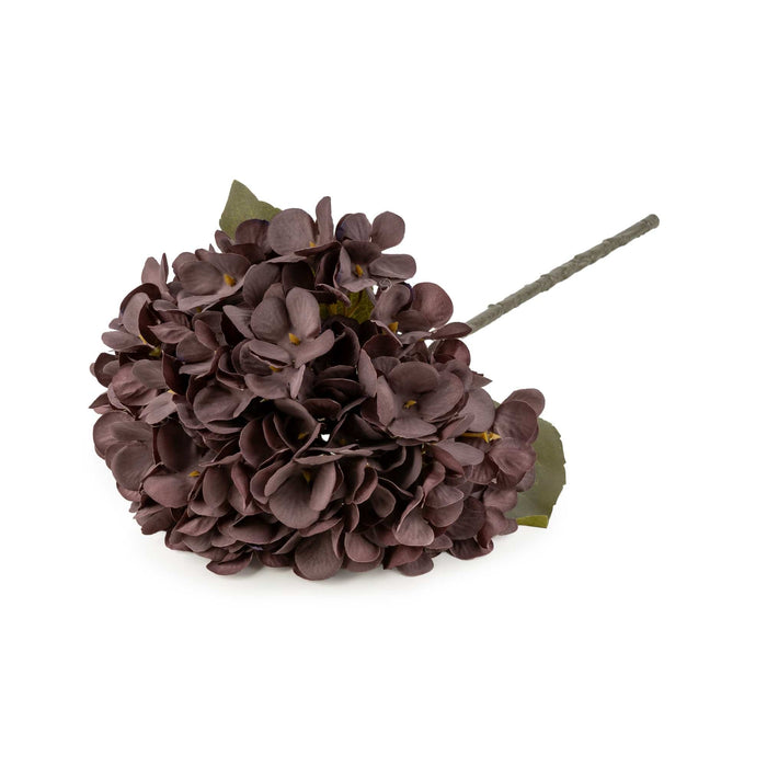 Gerviblóm Hortensía dusky