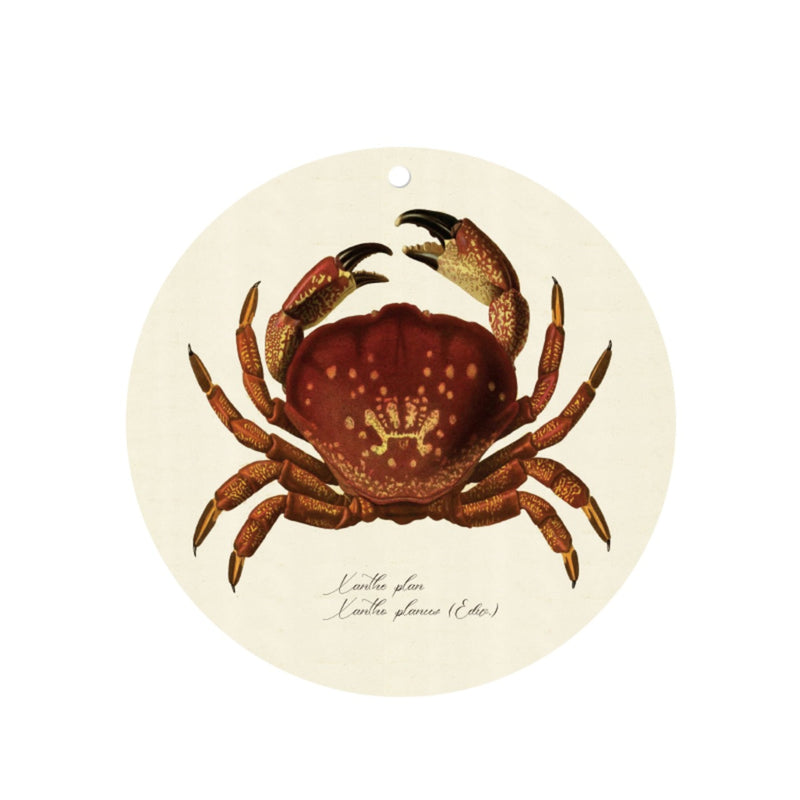 Veggplatti 2 tegundir