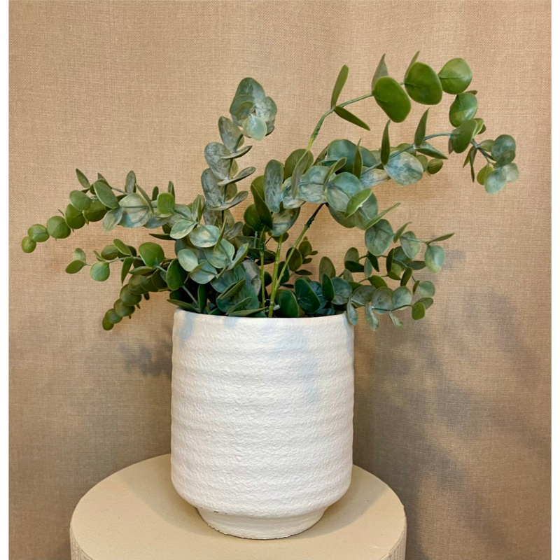 Gerviblóm Eucalyptus í potti 50cm