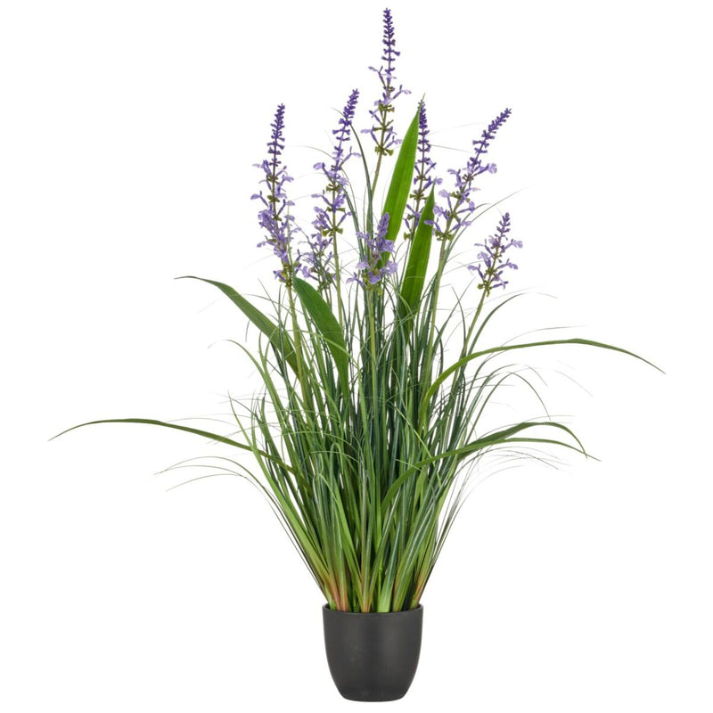 Gerviblóm Salvia & lavender