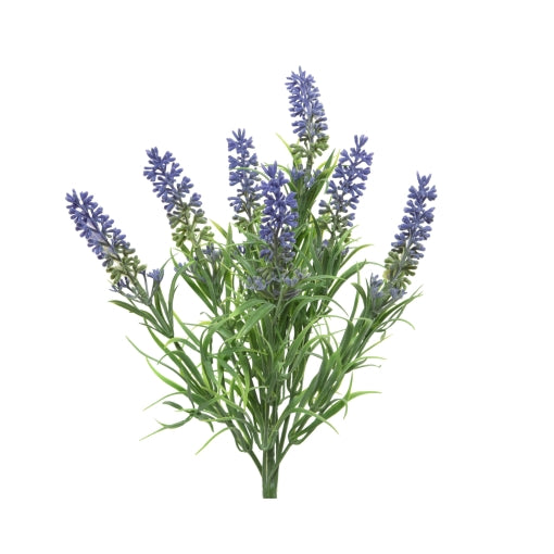 Gerviblóm Lavander búnt
