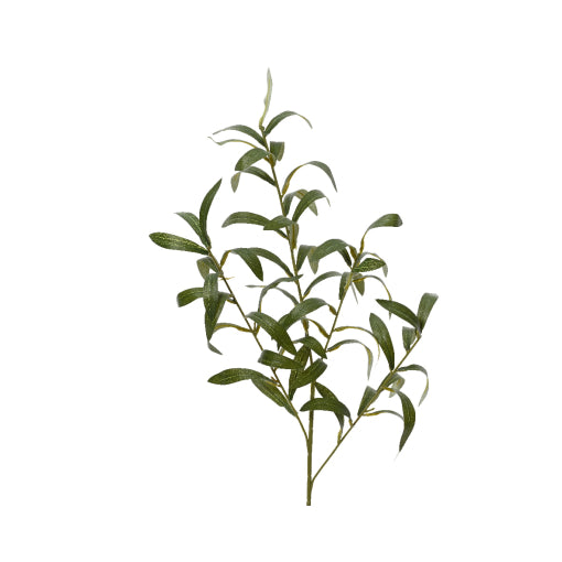 Grein olífu 77cm