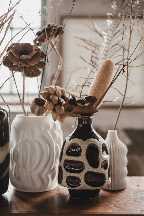 Skrautblóm Flore iris