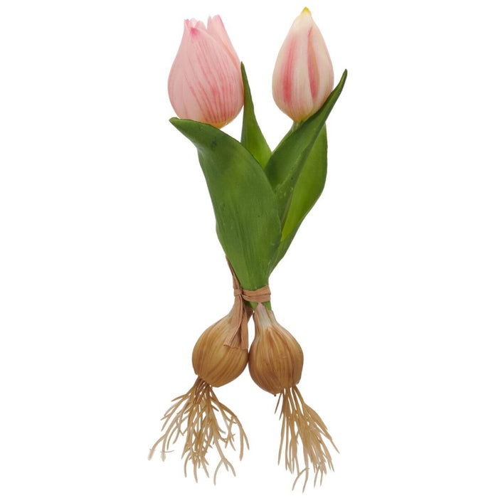 Túlípanalaukar 2 stk