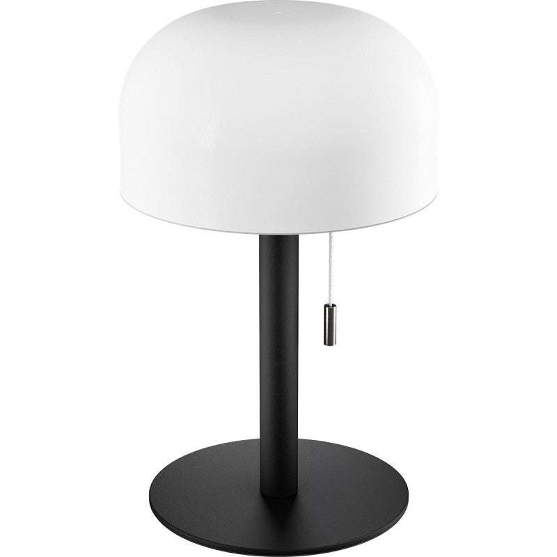 Led lampi 25cm