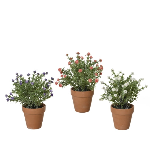 Pottaplanta Terra