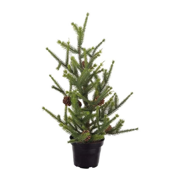 Grenitré m/ könglum