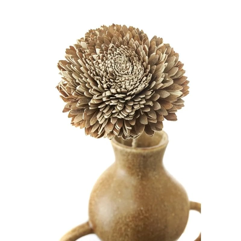 Gerviblóm Flore Zinnia