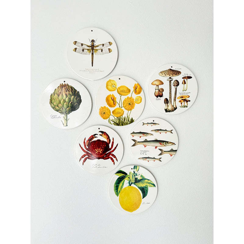 Veggplatti 2 tegundir