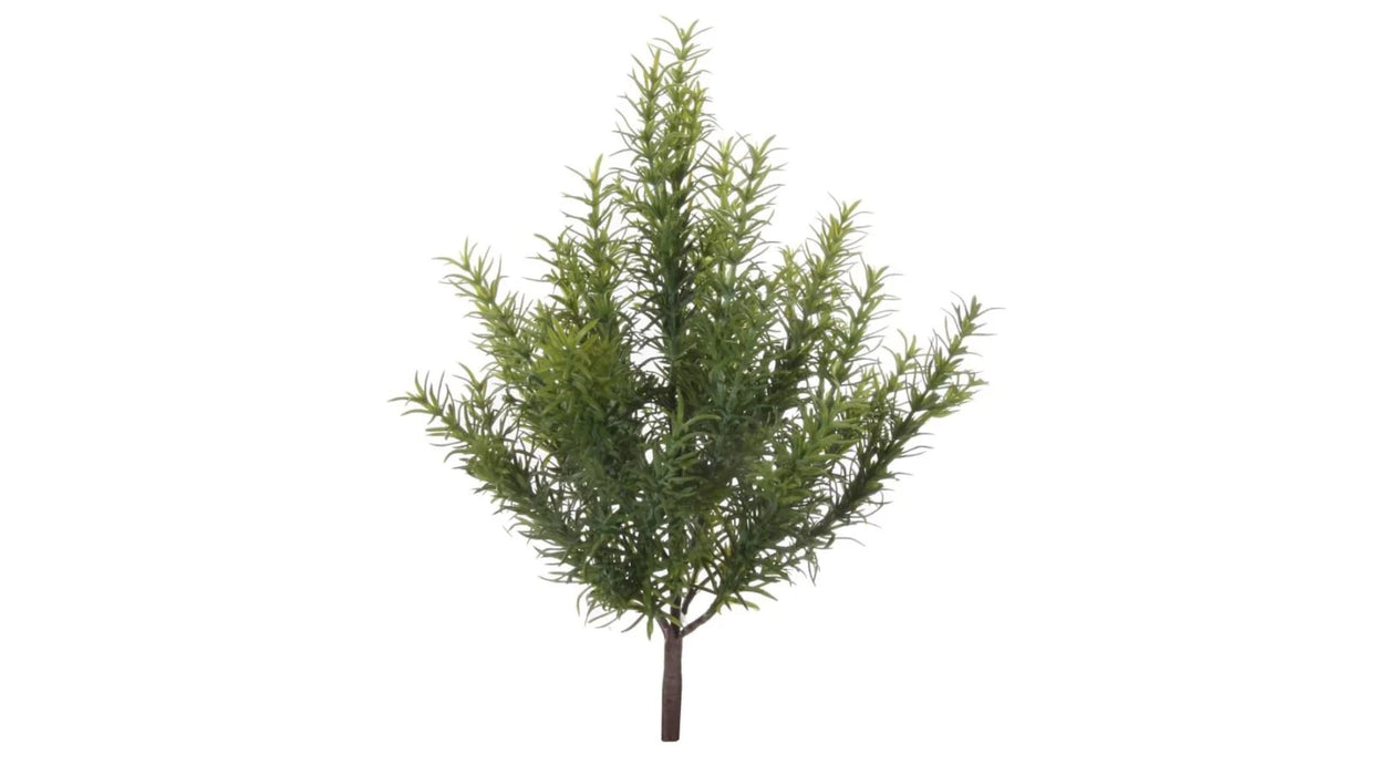 Grein rosemary