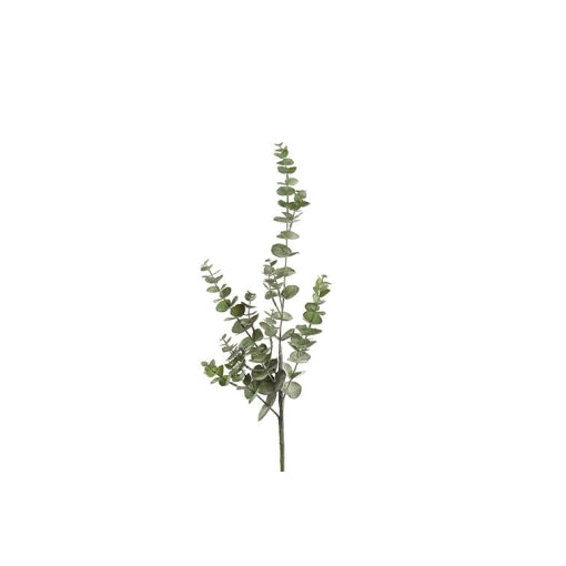 Gerviblóm Eucalyptus 79cm