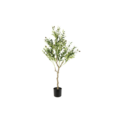 Gerviblóm Ólífurtré 120cm