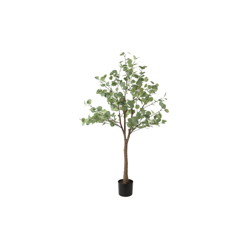 Gerviblóm Eucalyptus 150cm