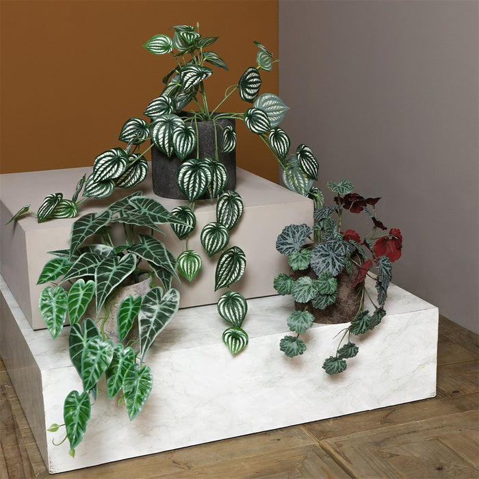 Blómapottur Bas 2 stærðir