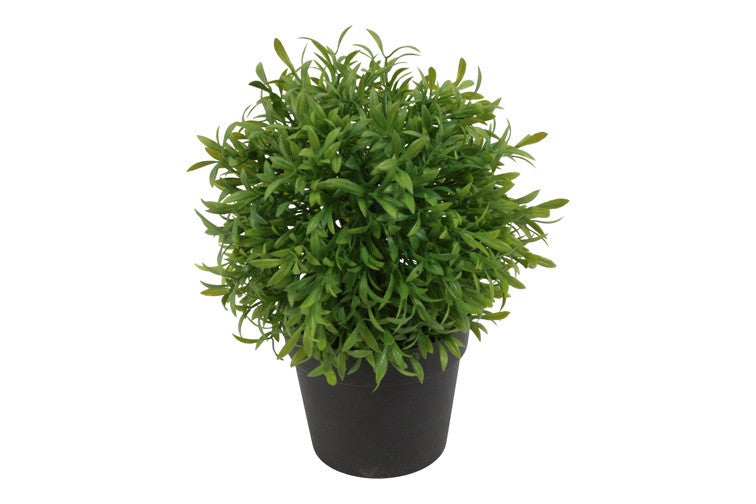 Gerviblóm buxus 20cm