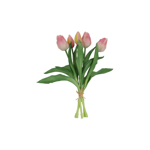 Gerviblóm Túlípanar