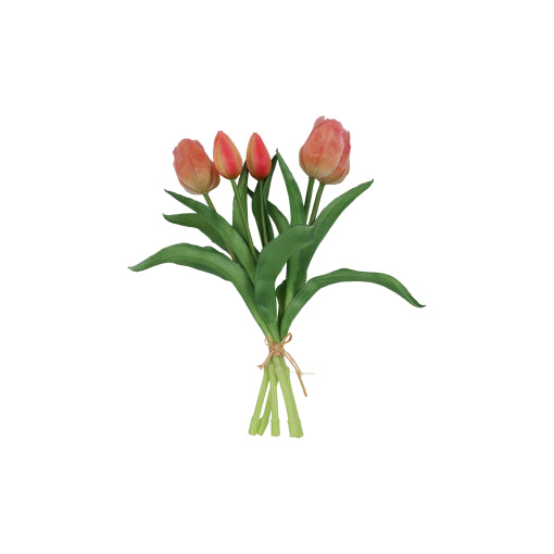 Gerviblóm Túlípanar